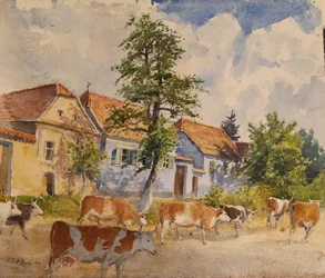 Viscri House Cows